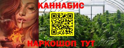 прущие крисы Ачхой-Мартан