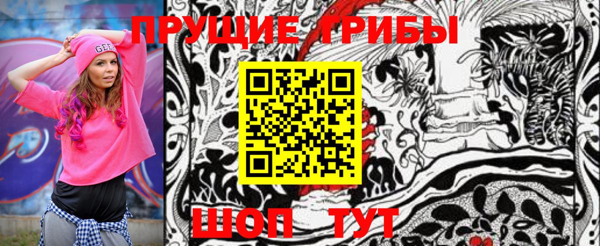 где купить наркоту  Вход с VPN  Бийск  Псилоцибиновые грибы Magic Shrooms 