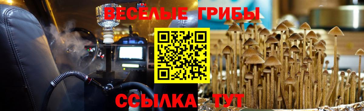 Псилоцибиновые грибы Magic Shrooms Бийск